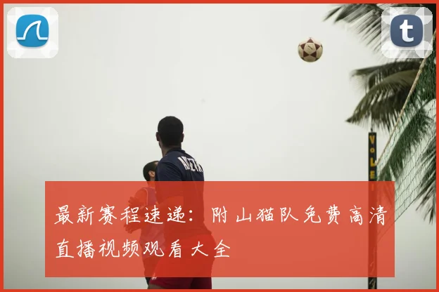最新赛程速递：附山猫队免费高清直播视频观看大全