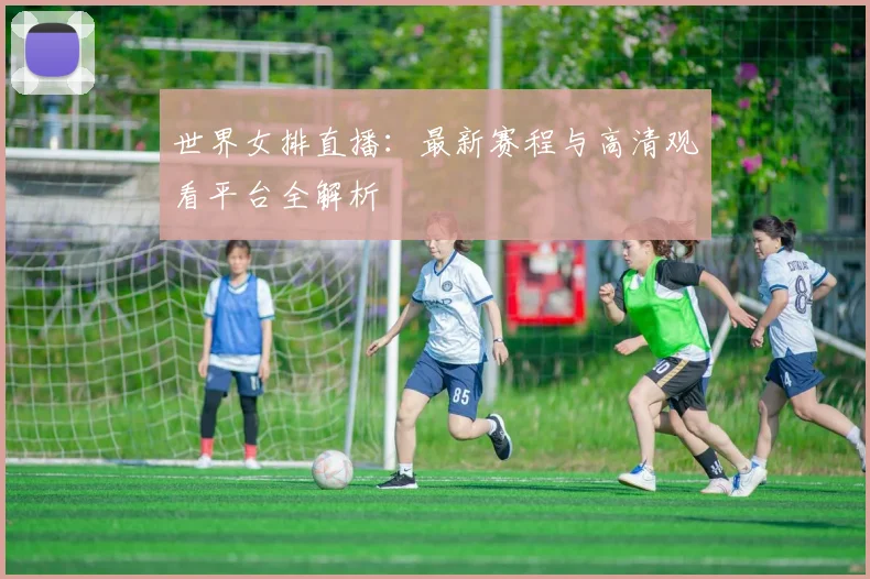 世界女排直播：最新赛程与高清观看平台全解析